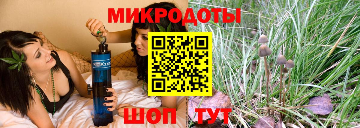 Галлюциногенные грибы мухоморы Горно-Алтайск