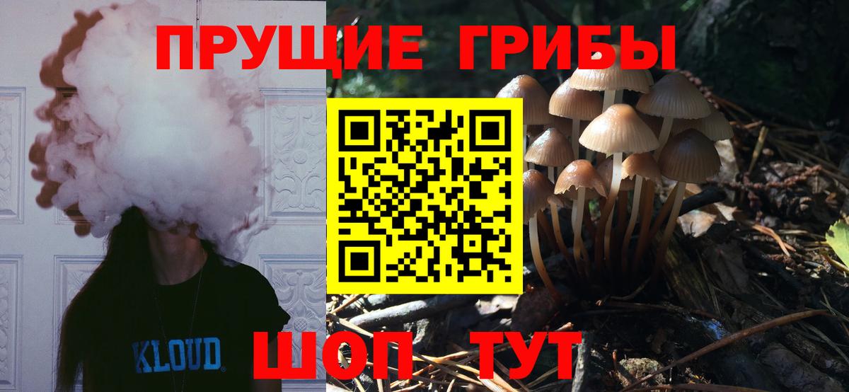 Галлюциногенные грибы Cubensis  Вход с VPN  закладка  Горно-Алтайск 